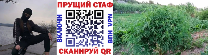 Где купить Мамоново Конопля A PVP Псилоцибиновые грибы Cocaine ГАШИШ Амфетамин