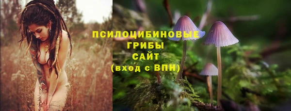 гидра Нефтекумск
