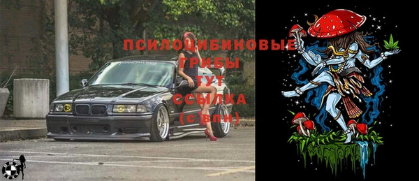 гидра Нефтекумск